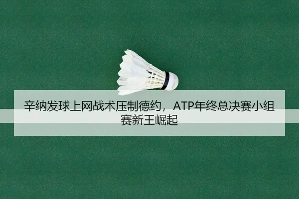 辛纳发球上网战术压制德约，ATP年终总决赛小组赛新王崛起